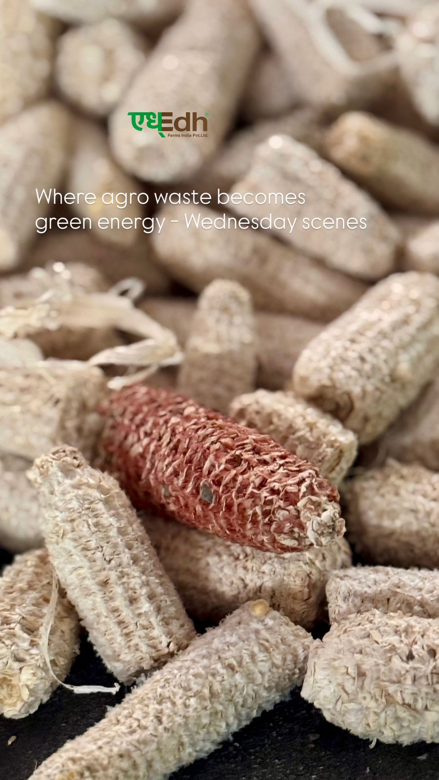 Corn Cob Powder For Animal Feed